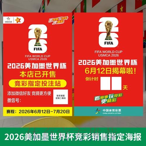 世界杯投注软件安装与使用指南